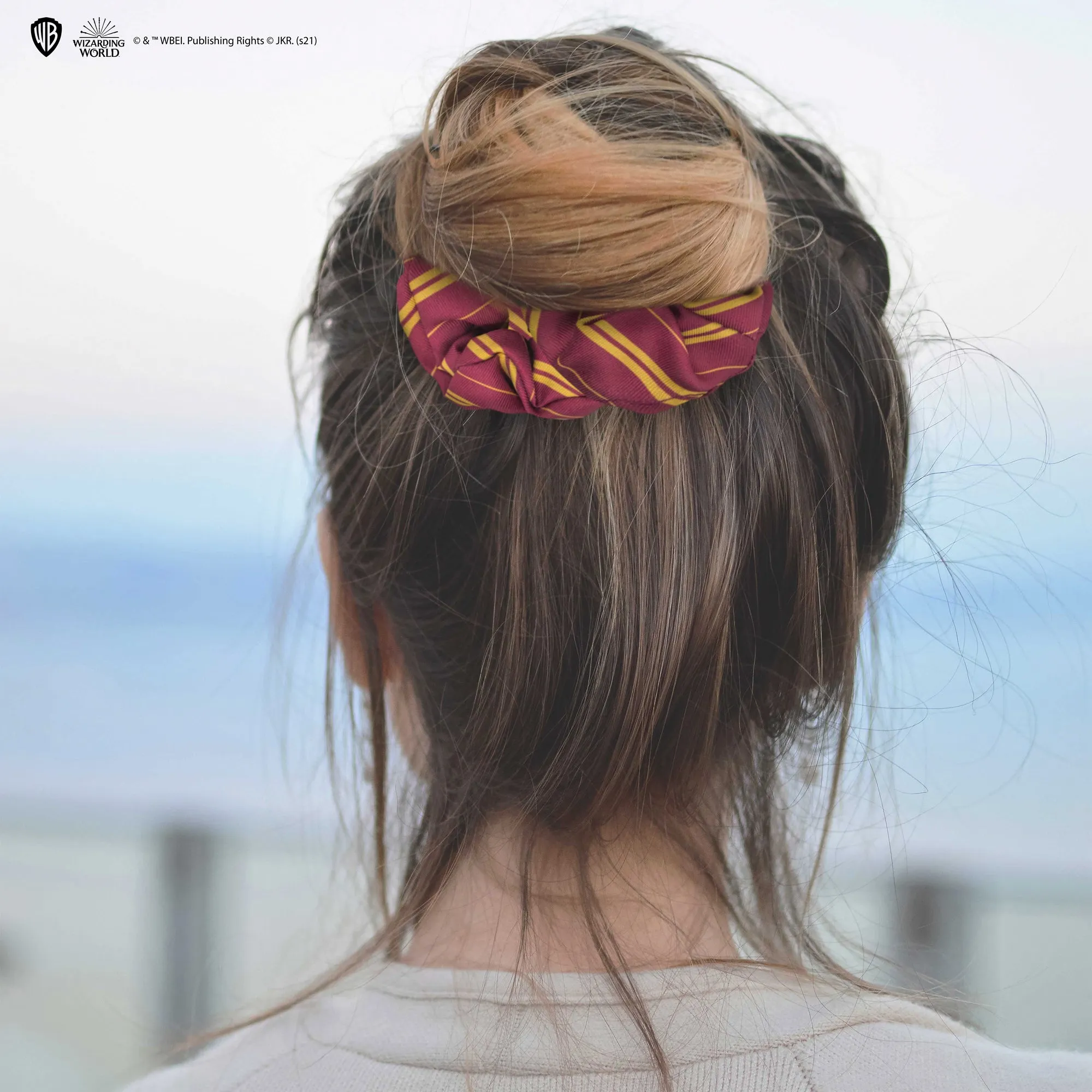Set of 2 Classic Gryffindor Hair Accessories